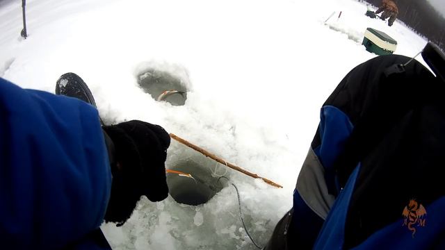 И в глухозимье рыба клюёт.  Ловля на мормышку в конце января.