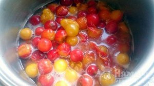 Желе из алычи на зиму