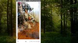 Как удалить объект с фото на телефоне