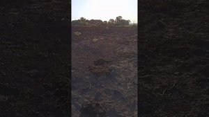 накопал артефактов и раритетов