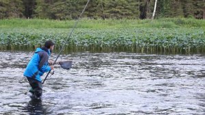 Места где водится таймень