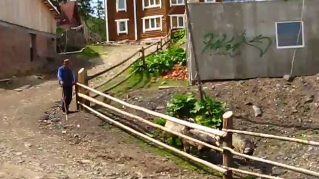 Отара овец, колокольчики, Драгобрат смотреть онлайн