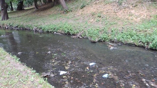 Центральный городской парк и Парковый ручей. Калининград