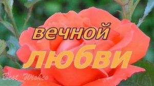 Красивая Прикольная Открытка с Кожаной Свадьбой, СУПЕР Поздравление с 3 Годовщиной Свадьбы в Стихах