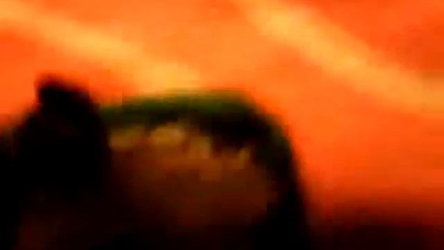 Котик идёт в туалет смотреть онлайн