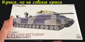 Крыса, но не совсем крыса. Обзор модели R1000 Шарнхорст фирмы Modelcollect в 72 масштабе.