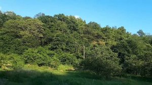 Каткова щель, дорога на пляж, море, цены, чебуречная, столовая, шашлычная, 19 июля 23 г.