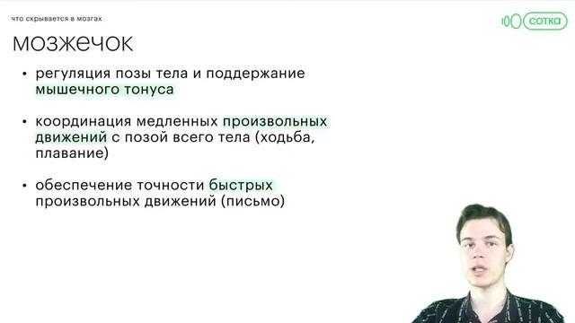 Что скрывается в твоих мозгах? | ОГЭ БИОЛОГИЯ 2022 | СОТКА смотреть онлайн