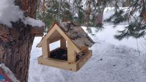 Кормушка для птиц своими руками из обрезков.