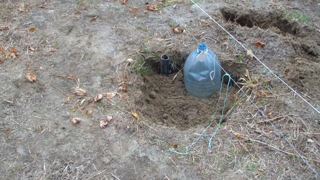 Укрытие молодых саженцев винограда. смотреть онлайн