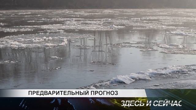предварительный прогноз