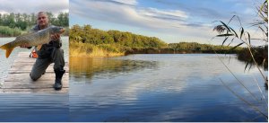 РЫБАЛКА НА КУЛЬТУРНОМ ВОДОЕМЕ...