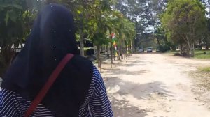 Peternakan Sapi Perah Anti Bau di Kota Pangkal Pinang Tahun 2019