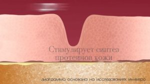 Avon Новинки. Anew Обновление. Anew Reversalist kosmetika http://avonpeter.ru/