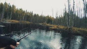 Лесной щучий ручей. Осенняя рыбалка на щуку.mp4