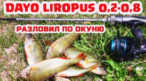 Мормышинг. Бюджетный DAYO. Разлов окуня.