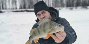 Мощные поклевки. Сорога по локоть.