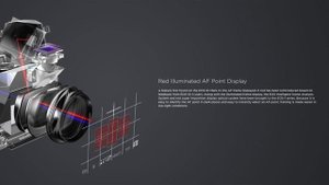 Canon 1D X Mark II: обзор в деталях и первый взгляд на возможности