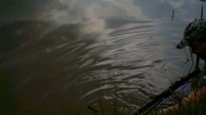 stalking carp by Andrew holden rope walk sandwich