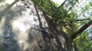 Альфа мопед тест драйв , на альфе по снегу, на альфе по грязи, на альфе брод, альфа burnout