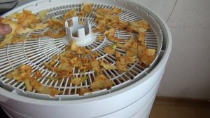 Изюм в домашних условиях в электросушилке Волтера 1000 люкс _ Raisins at home in an electric dryer