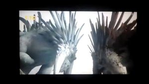 СТОИК vs ДРАГО и ДОБРЫЙ СМУТЬЯН vs ЗЛОЙ СМУТЬЯН(ЛЕГЕНДАРНЫЙ БОЙ!)