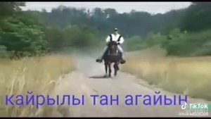 Как бегает лошадь с людми