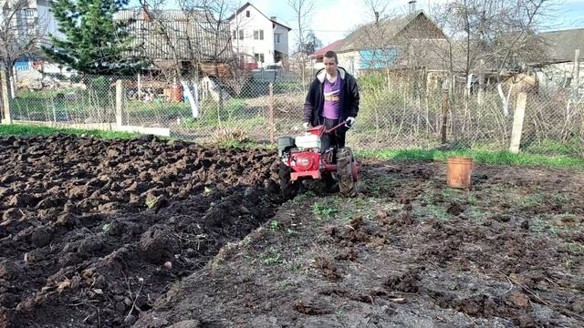 ✅Посадка картофеля мотоблоком мтз белорус 09Н смотреть онлайн