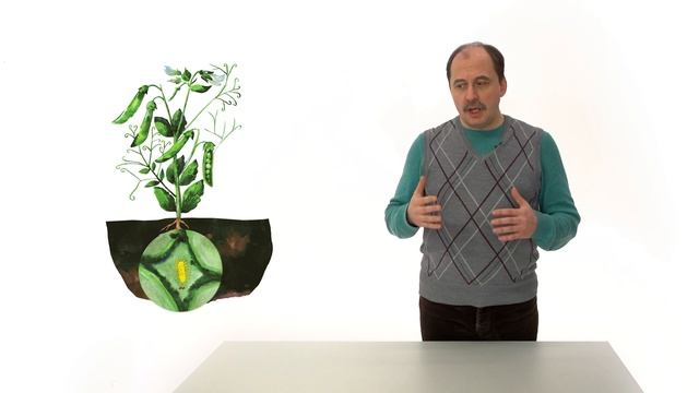 38. Роль бактерий в природе смотреть онлайн