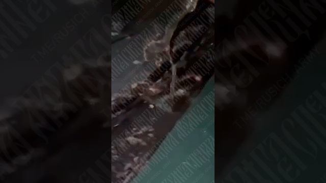 Пикап выходит из чата. 
ТЦК — зло. Партизаны — добро. Это самая настоящая помощь украинцам