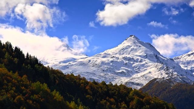 SHARPEST DETAIL  12K HDR DOLBY VISION 120FPS