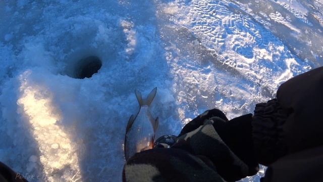 Прошла СТАЯ ЛЕЩА!Рыбалка в Марте на Оке 2022! смотреть онлайн