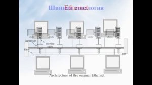 Топология локальных сетей | Основные виды | LAN
