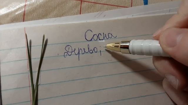 Что можно записать в травник?? смотреть онлайн