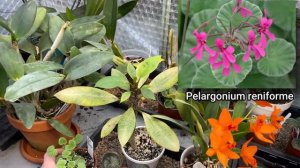 EXCITING GREENHOUSE DEVELOPMENTS IN APRIL: WHAT'S NEW? (PART 1/2)