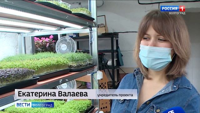 Микрозелень – хороший помощник в укреплении иммунитета смотреть онлайн