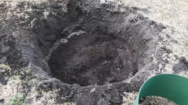 ПОСАДКА ЯБЛОНИ/как правильно посадить яблоню  весной