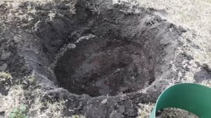 ПОСАДКА ЯБЛОНИ/как правильно посадить яблоню весной