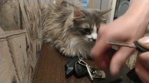 Как смазать замок