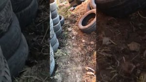 Фундамент из покрышек