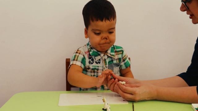 Мастер-класс "Пеликан из пластилина"