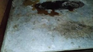 Самодельный шкаф для копчения. Три в одном. Холодное копчение.