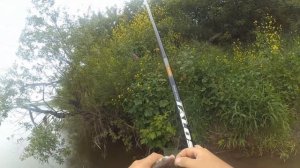 Рыбалка на Дону