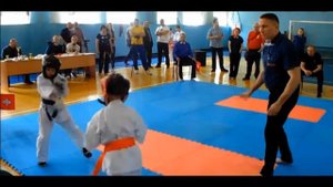 Соревнования по КАРАТЭ-Кёкусинкай (2018)