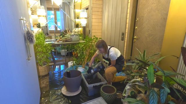 Приводим растения в порядок смотреть онлайн