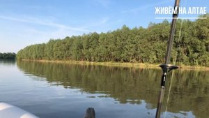 Покатушки по Оби на лодке тонар Алтай 340 нднд и моторе Тохатсу 5. Рыбалка.