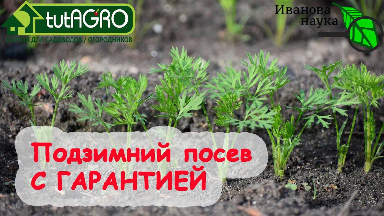 ПОДЗИМНИЙ ПОСЕВ СЕМЯН - С ГАРАНТИЕЙ! Всего 2 правила для успешного подзимнего сева всех семян!