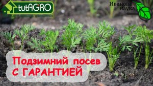 ПОДЗИМНИЙ ПОСЕВ СЕМЯН - С ГАРАНТИЕЙ! Всего 2 правила для успешного подзимнего сева всех семян!