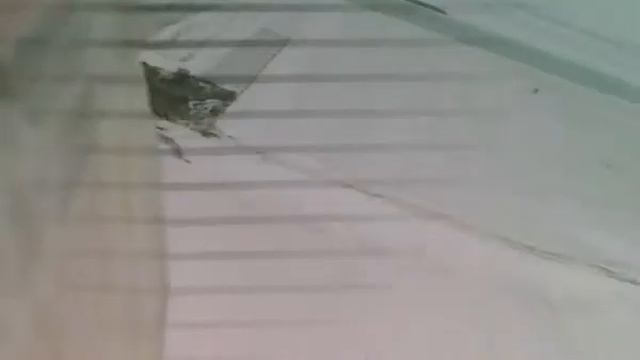 Hacker Decathlon EPP смотреть онлайн