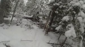 OMG! ЭТО ПРОМЫСЕЛ В ГЛУХОЙ ТАЙГЕ! ДЕНЬ ВТОРОЙ ИДЕМ ДАЛЬШЕ